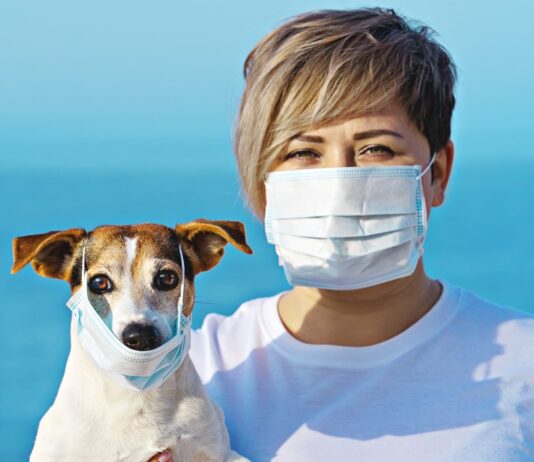 CORONAVIRUS: SHOULD WE BE WORRIED ABOUT OUR DOGS AND CATS?
