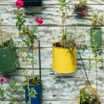 Get Growing with an Urban Garden