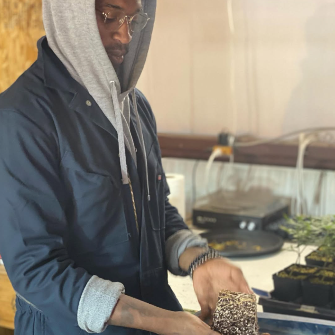 Trump administration’s latest big move on marijuana leaves out Black businesses